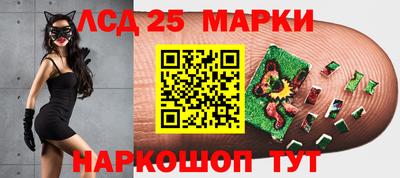 мяу мяу мука Малгобек