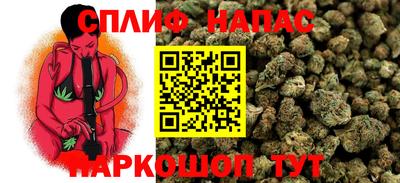 мяу мяу мука Малгобек