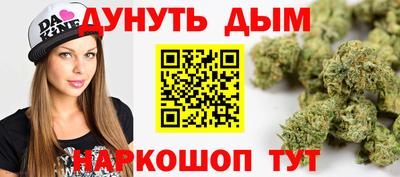 мяу мяу мука Малгобек