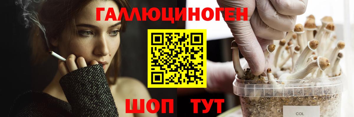 Галлюциногенные грибы Cubensis Фролово
